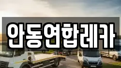 안동연합레카