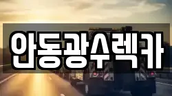 안동광수렉카