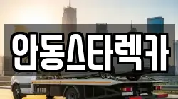 안동스타렉카