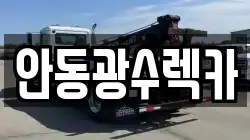 안동광수렉카
