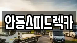 경상북도 안동시 안기동 렉카, 특수렉카, 차량탁송, 견인운송