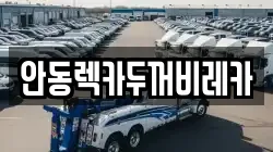 안동렉카두꺼비레카