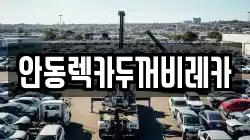 안동렉카두꺼비레카