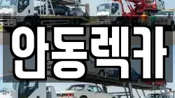 경상북도 안동시 풍산읍 렉카, 특수렉카, 차량탁송, 견인운송