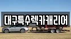 대구특수렉카캐리어