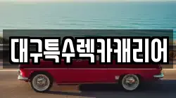 대구특수렉카캐리어