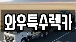 와우특수렉카