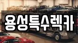 용성특수렉카