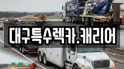 대구특수렉카.캐리어