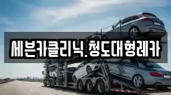 세븐카클리닉.청도대형레카
