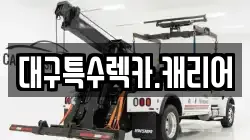 대구특수렉카.캐리어
