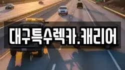 대구특수렉카.캐리어