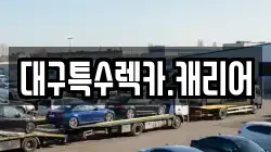 대구특수렉카.캐리어