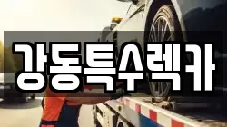 강동특수렉카