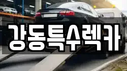경상북도 포항시 남구 대송면 렉카, 특수렉카, 차량탁송, 견인운송