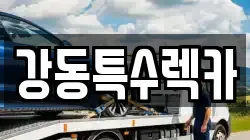 경상북도 포항시 남구 대잠동 렉카, 특수렉카, 차량탁송, 견인운송
