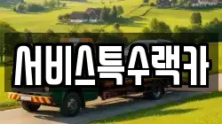 서비스특수랙카
