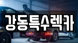 경상북도 포항시 남구 동촌동 렉카, 특수렉카, 차량탁송, 견인운송