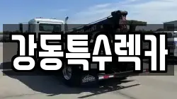 경상북도 포항시 남구 상도동 렉카, 특수렉카, 차량탁송, 견인운송