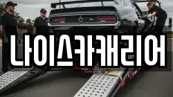 나이스카캐리어
