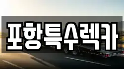 포항특수렉카