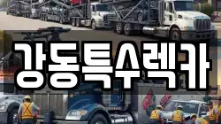 경상북도 포항시 남구 송도동 렉카, 특수렉카, 차량탁송, 견인운송