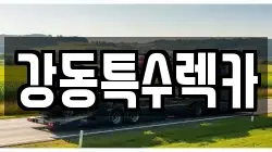 경상북도 포항시 남구 일월동 렉카, 특수렉카, 차량탁송, 견인운송