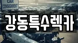 경상북도 포항시 남구 장흥동 렉카, 특수렉카, 차량탁송, 견인운송