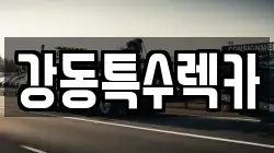 경상북도 포항시 남구 호동 렉카, 특수렉카, 차량탁송, 견인운송