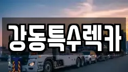 경상북도 포항시 남구 호미곶면 렉카, 특수렉카, 차량탁송, 견인운송