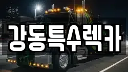 경상북도 포항시 북구 대흥동 렉카, 특수렉카, 차량탁송, 견인운송