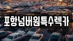 포항넘버원특수렉카