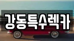 강동특수렉카