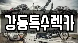 경상북도 포항시 북구 동빈2가 렉카, 특수렉카, 차량탁송, 견인운송