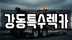 경상북도 포항시 북구 송라면 렉카, 특수렉카, 차량탁송, 견인운송
