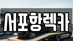서포항렉카
