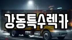 경상북도 포항시 북구 우현동 렉카, 특수렉카, 차량탁송, 견인운송