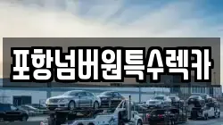 포항넘버원특수렉카