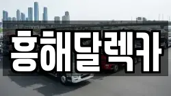 흥해달렉카
