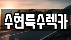 수현특수렉카