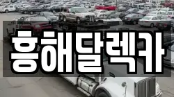 흥해달렉카