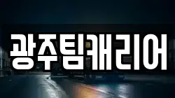 광주팀캐리어
