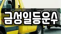 금성일등운수