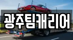 광주팀캐리어