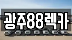 광주광역시 광산구 장덕동 렉카, 특수렉카, 차량탁송, 견인운송