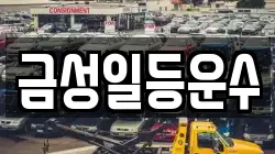 금성일등운수