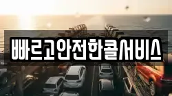 빠르고안전한콜서비스