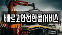 빠르고안전한콜서비스