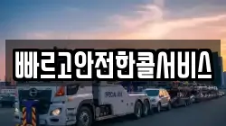 빠르고안전한콜서비스