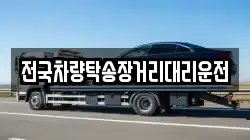 전국차량탁송장거리대리운전